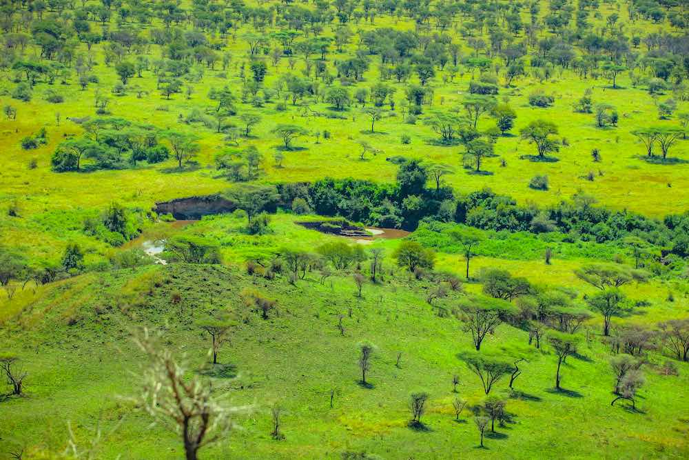 Mberesero Serengeti Central Lodge thumbnail 4